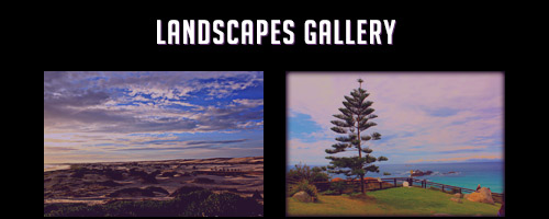 Landscapes Gallery | Images by GB Gary Berman