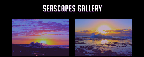 Seascapes Gallery | Images by GB Gary Berman